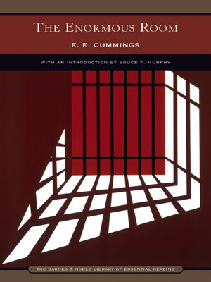 cover image of The Enormous Room (Barnes & Noble Library of Essential Reading)